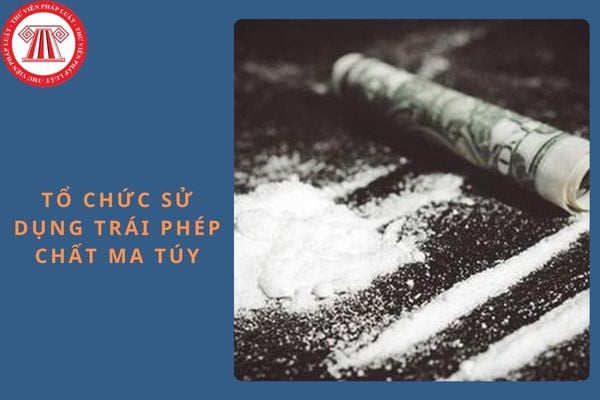 Các yếu tố cấu thành tội tổ chức sử dụng trái phép chất ma túy?