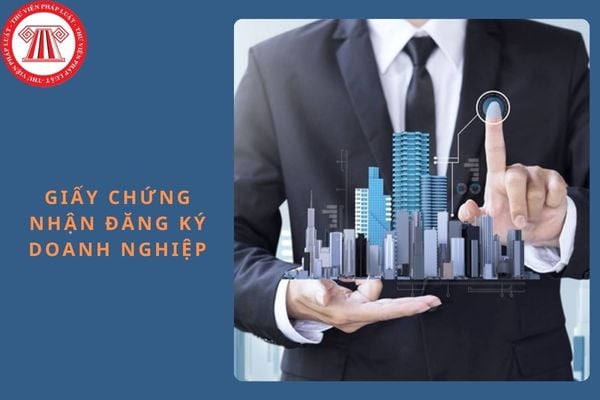 Doanh nghiệp thành lập nhưng không hoạt động có bị thu hồi Giấy chứng nhận đăng ký doanh nghiệp không?