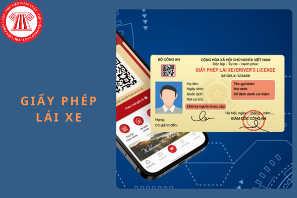 Trường hợp nào giấy phép lái xe được phục hồi đủ 12 điểm?