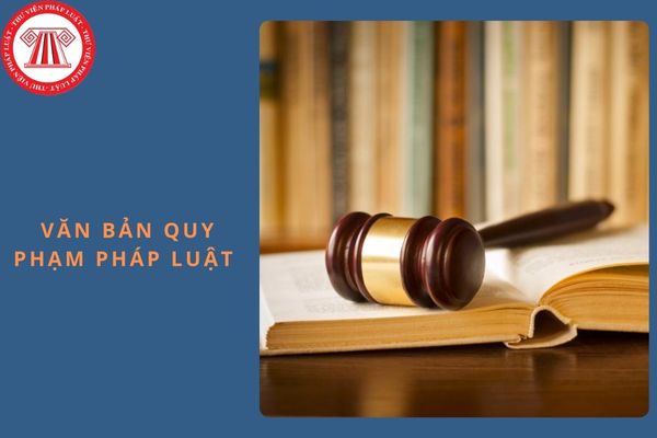 Văn bản quy phạm pháp luật nào do Chính phủ ban hành?