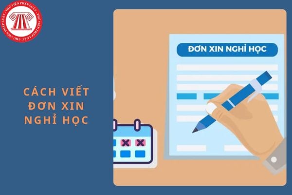 Cách viết đơn xin nghỉ học cho học sinh, phụ huynh mới nhất năm 2024?