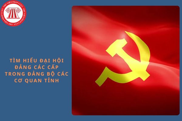 Đáp án cuộc thi trực tuyến Tìm hiểu Đại hội Đảng các cấp trong Đảng bộ Các cơ quan tỉnh, nhiệm kỳ 2025 - 2030 tỉnh Bắc Giang?