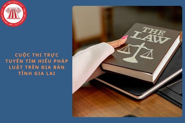 Đáp án tuần 2 Cuộc thi trực tuyến tìm hiểu pháp luật trên địa bàn tỉnh Gia Lai năm 2024?