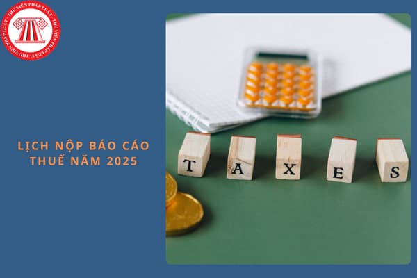 Lịch nộp báo cáo thuế năm 2025 chi tiết nhất?