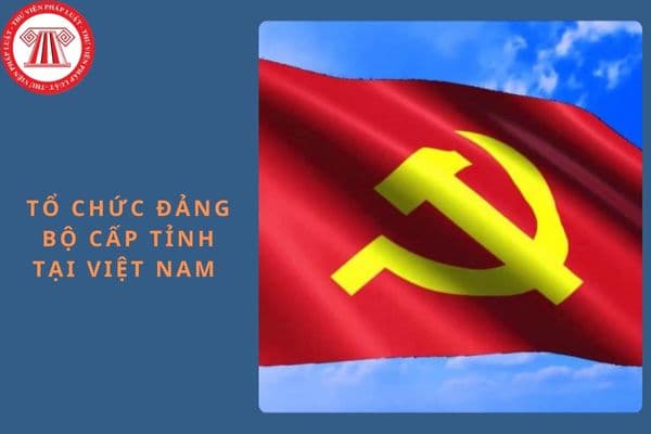 Tổ chức Đảng bộ cấp tỉnh tại Việt Nam là gì? Nhiệm vụ và quyền hạn của Tổ chức Đảng bộ cấp tỉnh tại Việt Nam như thế nào?