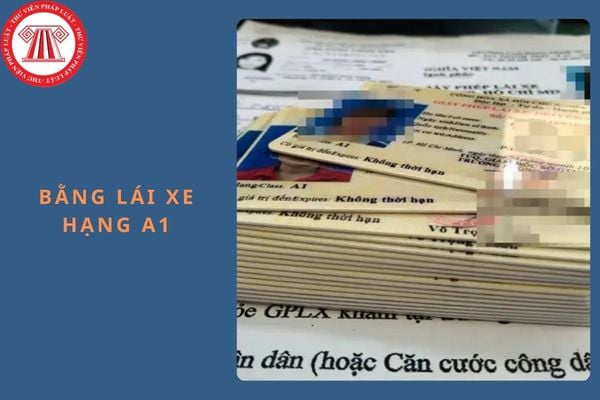 Bằng lái xe hạng A1 bị hỏng và mất hồ sơ gốc thì có phải thi lại không?