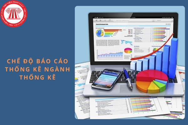 Ban hành Thông tư 20/2024/TT-BKHĐT quy định chế độ báo cáo thống kê ngành Thống kê?