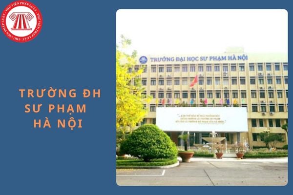 Đề minh họa đánh giá năng lực 2025 trường Đại học Sư phạm Hà Nội (kèm đáp án) chi tiết nhất?