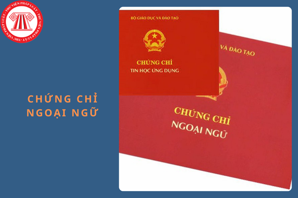 Thi tốt nghiệp THPT 2025: chứng chỉ ngoại ngữ không được quy đổi thành điểm 10?