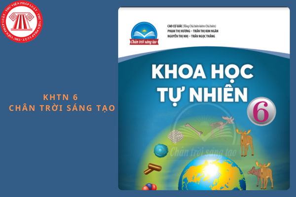 Đề thi cuối kì 1 Khoa học tự nhiên 6 Chân trời sáng tạo có đáp án năm 2024-2025?