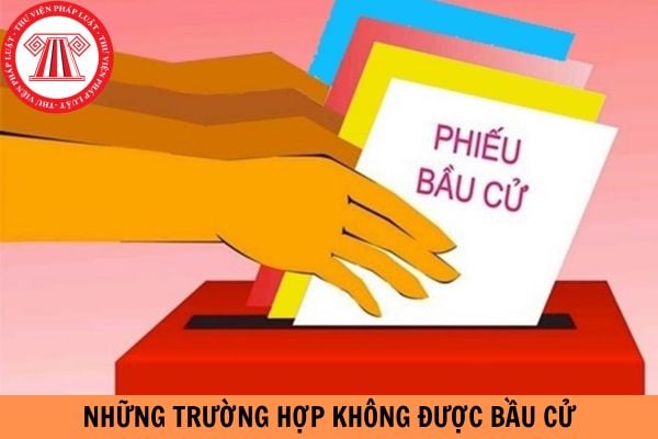 Những trường hợp không được bầu cử đại biểu Quốc hội và đại biểu Hội đồng nhân dân?