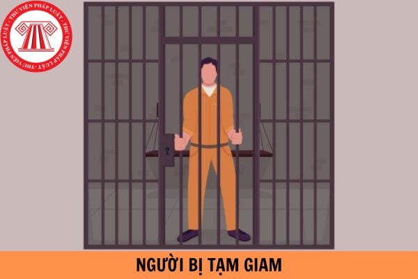 Người bị tạm giam có được ứng cử đại biểu Quốc hội và đại biểu Hội đồng nhân dân không?