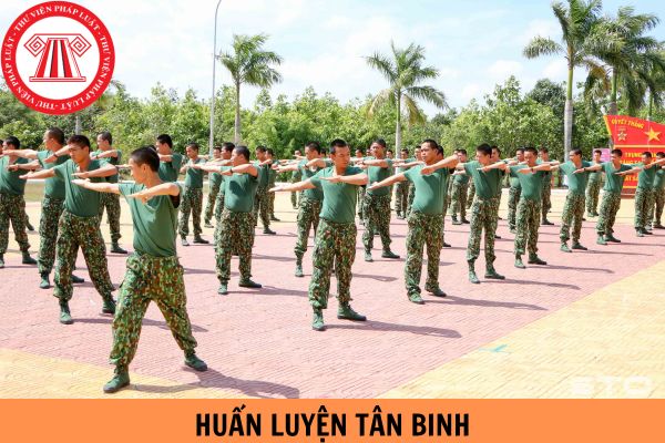 Thời gian huấn luyện tân binh là bao lâu? Tiêu chuẩn tham gia nghĩa vụ quân sự là gì?