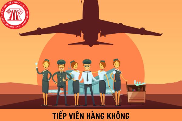 Muốn làm tiếp viên hàng không thì có thể học trường nào?