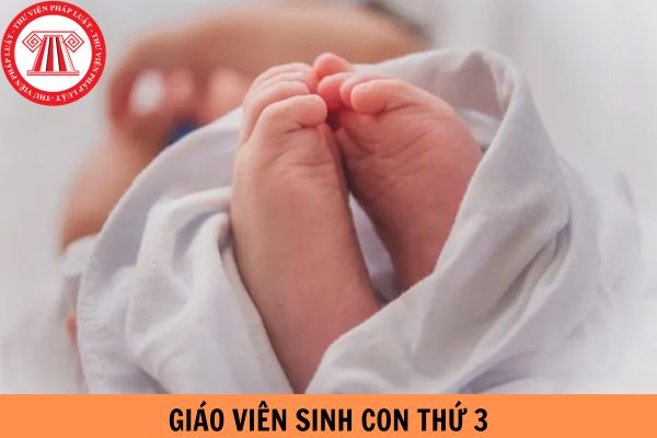 Giáo viên sinh con thứ 3 có bị xử lý kỷ luật không? Được xếp loại gì?