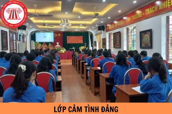 Lớp cảm tình Đảng là gì? Đối tượng nào được học lớp cảm tình Đảng?