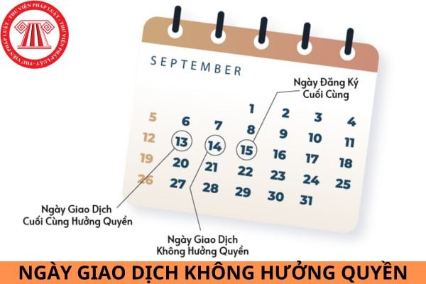 Ngày giao dịch không hưởng quyền là gì? Các đối tượng nào là nhà đầu tư chứng khoán chuyên nghiệp?