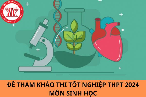 Đề tham khảo thi tốt nghiệp THPT 2024 môn Sinh học?