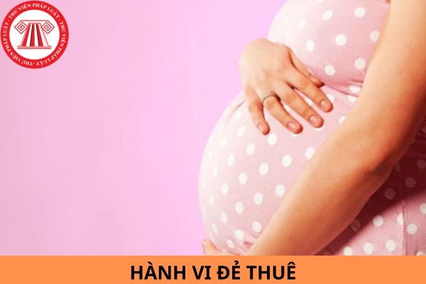 Hành vi đẻ thuê có bị truy cứu trách nhiệm hình sự không? Truy cứu về tội gì?