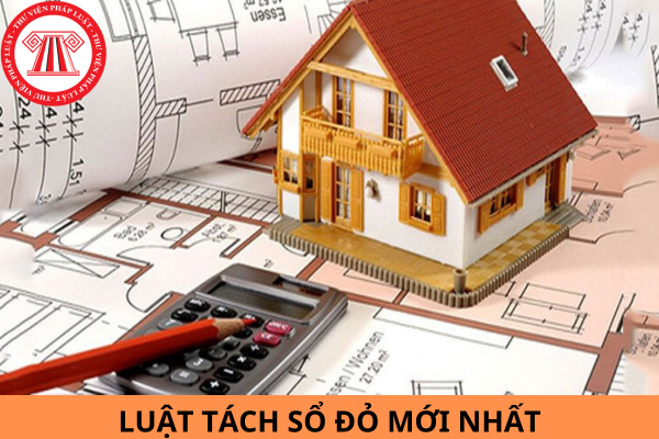 Luật tách sổ đỏ mới nhất năm 2024 là luật nào? Việc tách thửa đất phải đảm bảo các nguyên tắc gì?