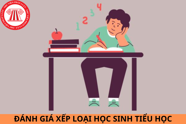 Hướng dẫn đánh giá xếp loại học sinh tiểu học năm học 2023 - 2024?