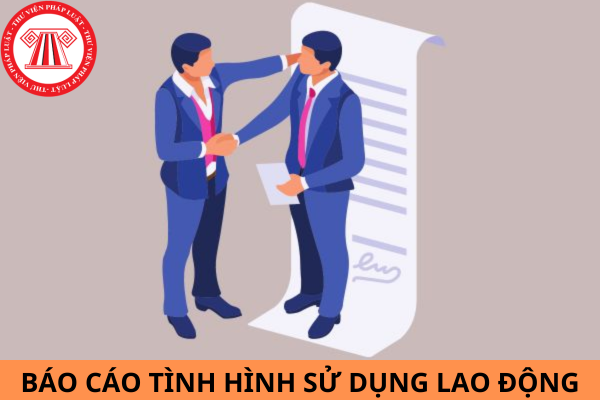 Mẫu báo cáo tình hình sử dụng lao động 6 tháng đầu năm 2024?