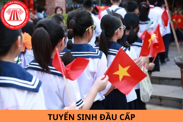 Hướng dẫn 8 bước đăng ký trực tuyến tuyển sinh đầu cấp ở TP Hồ Chí Minh?