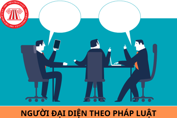 Mẫu bản lý lịch tự thuật của người đại diện theo pháp luật của doanh nghiệp chuẩn pháp lý mới nhất năm 2024?