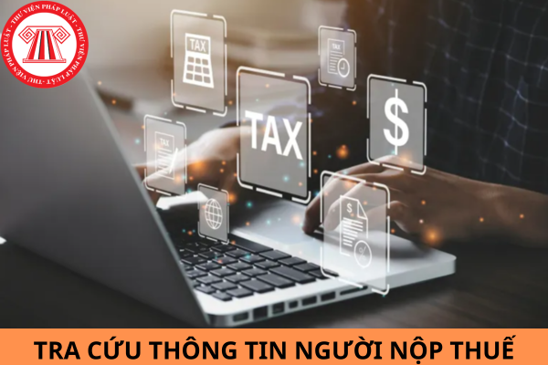 Cách tra cứu thông tin người nộp thuế tổ chức, doanh nghiệp nhanh chóng, chính xác nhất?