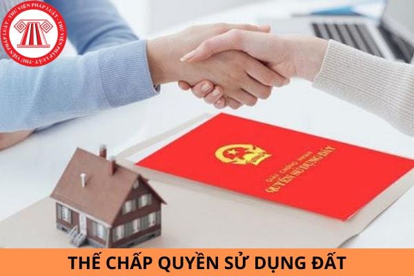 Luật Đất đai 2024 có cho phép người gốc Việt Nam định cư ở nước ngoài thế chấp quyền sử dụng đất không?