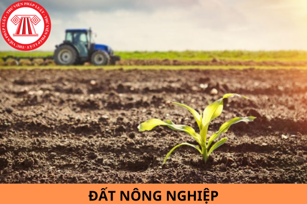 Từ ngày 01/8/2024, hộ gia đình sử dụng đất nông nghiệp không có sổ đỏ thì có còn được bồi thường về đất khi thu hồi đất không? 