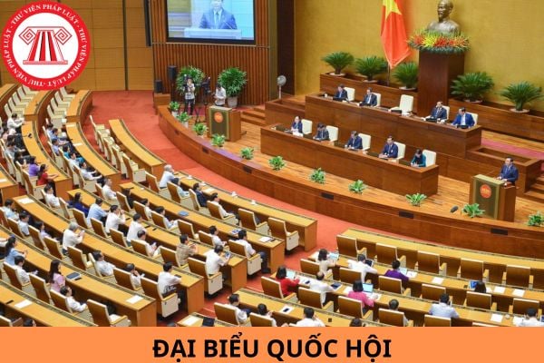 Đại biểu Quốc hội có bắt buộc phải là Đảng viên không?