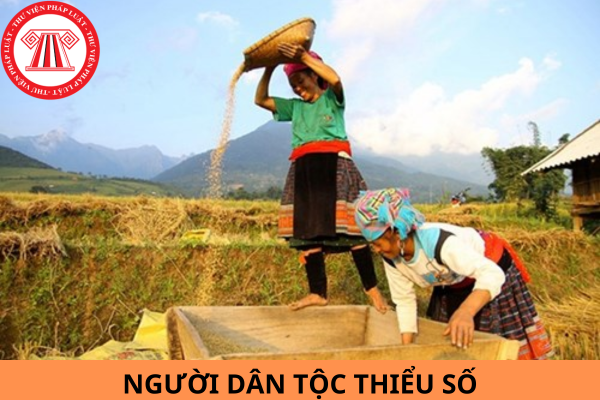 Người dân tộc thiểu số không còn đất ở thì được hỗ trợ đất đai thế nào?