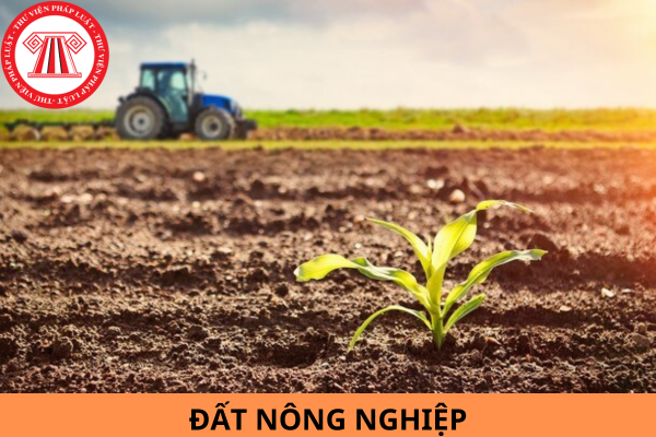 Đất nông nghiệp có phải là đất sử dụng ổn định lâu dài không?