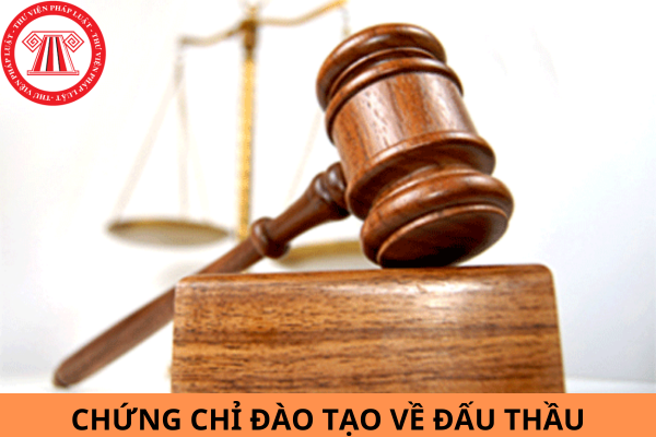 Chứng chỉ đào tạo về đấu thầu không có hạn sử dụng thì có còn giá trị sử dụng không?