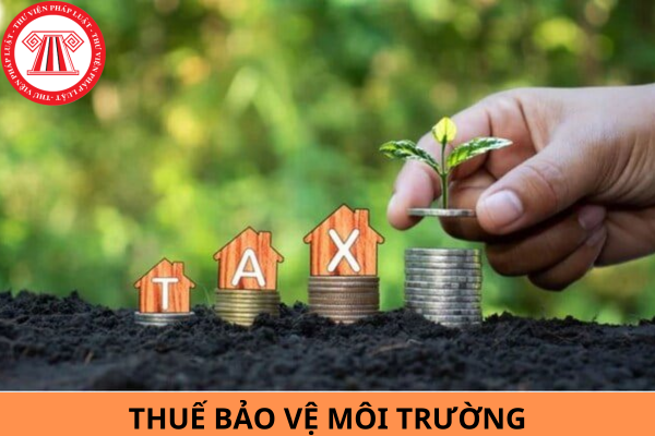 Cây xăng phát sinh thuế bảo vệ môi trường nộp hồ sơ khai thuế ở đâu?