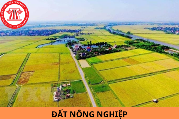 Luật Đất đai 2024 quy định phương thức nào là phương thức tập trung đất nông nghiệp?