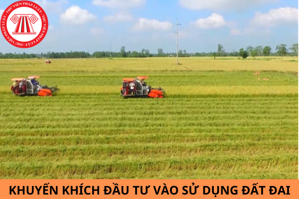 Nội dung nào thuộc lĩnh vực khuyến khích đầu tư vào sử dụng đất đai theo quy định tại Điều 8 Luật Đất đai 2024?