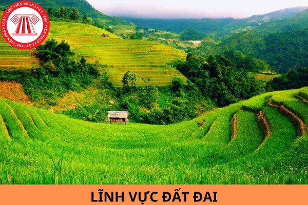 Căn cứ quy định của Điều 11 Luật Đất đai 2024 hành vi nào bị nghiêm cấm trong lĩnh vực đất đai?