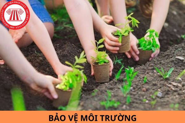 Trình tự thực hiện điều chỉnh thực hiện nhiệm vụ bảo vệ môi trường từ ngày 16/9/2024?