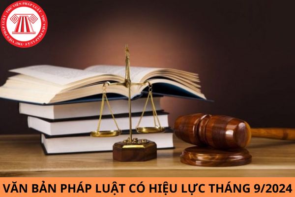 Tổng hợp văn bản pháp luật có hiệu lực tháng 9/2024?