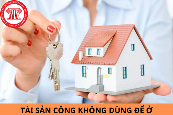 Mẫu biên bản bàn giao, tiếp nhận nhà đất là tài sản công không dùng để ở áp dụng từ ngày 15/10/2024?