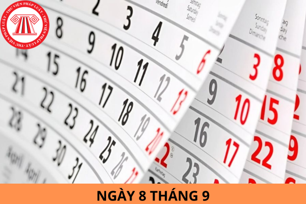 Ngày 8 tháng 9 là ngày gì? Ngày 8 tháng 9 là ngày bao nhiêu âm? Danh hiệu Đại sứ tiếng Việt ở nước ngoài được phong tặng thông qua các hoạt động nào?