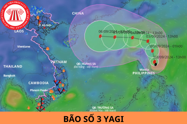 Các trường đại học cho sinh viên nghỉ tránh bão số 3 Yagi 2024?