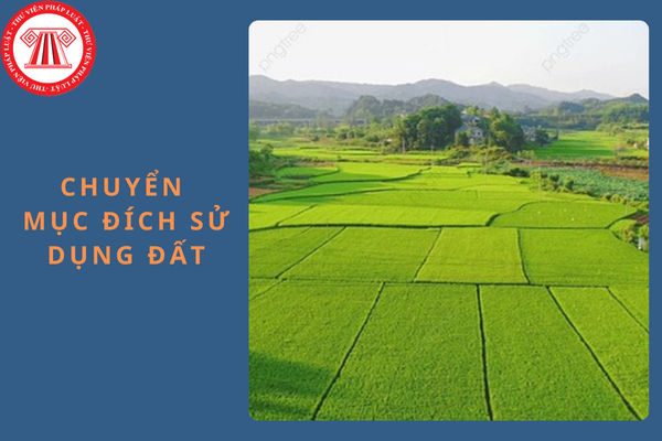 Chuyển mục đích sử dụng đất nông nghiệp sang thương mại dịch vụ có phải đăng ký vào kế hoạch sử dụng đất không?