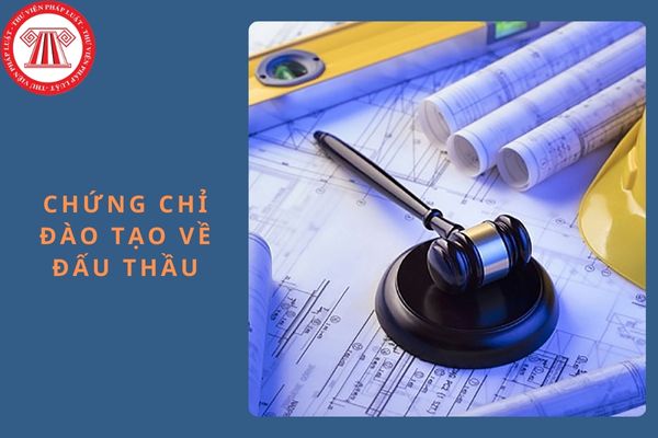 Chứng chỉ đào tạo về đấu thầu được sử dụng đến khi nào?