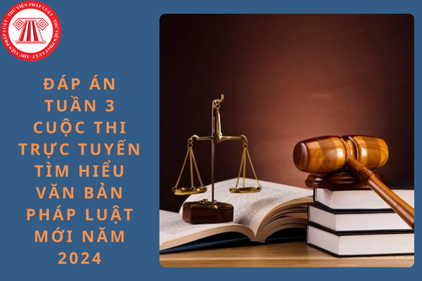 Đáp án tuần 3 cuộc thi trực tuyến Tìm hiểu văn bản pháp luật mới năm 2024 tỉnh Nghệ An?