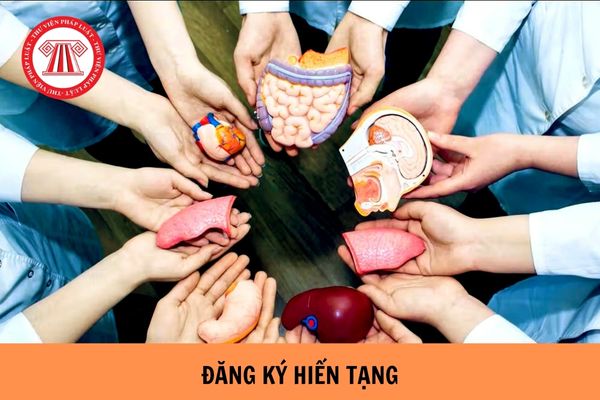 Đăng ký hiến tạng thì thực hiện ở đâu được? Ai được đăng ký hiến tạng?