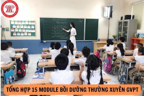 Tổng hợp 15 Module bồi dưỡng thường xuyên GVPT năm 2024? Xếp loại kết quả bồi dưỡng thường xuyên giáo viên 2024?