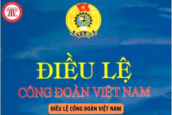 Điều lệ Công đoàn Việt Nam khóa 13 có bao nhiêu chương, bao nhiêu điều?